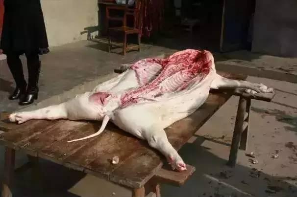 这些美食,可能也只有在重庆农村才可以吃到了!