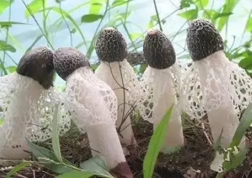 这些美食,可能也只有在重庆农村才可以吃到了!
