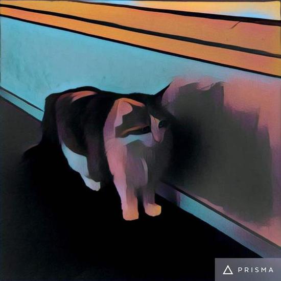 使用了Composition滤镜