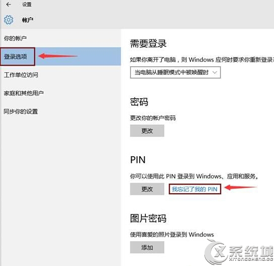 Win10ϵͳPINĽ 