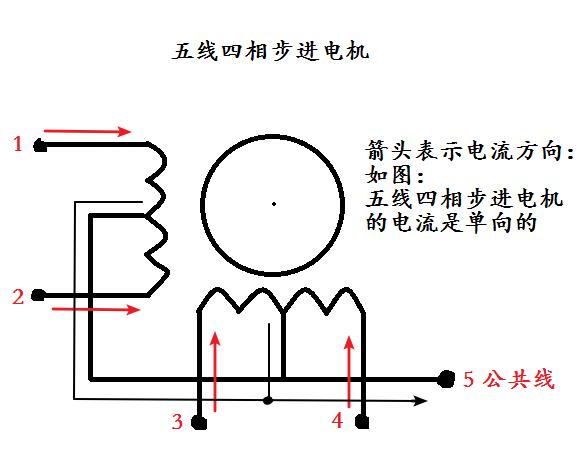 C51Ƭ̼ɣ壩ɼǲ֪ʶ