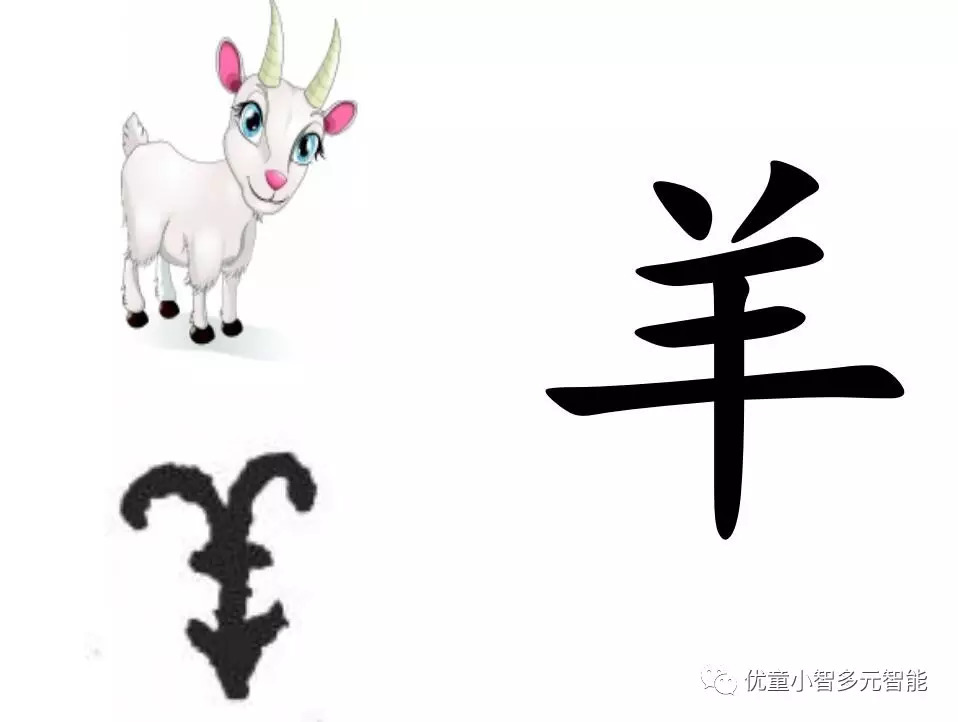 1482563536307074.jpg