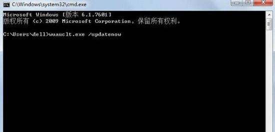 Windows10在cmd中输入wuauclt.exe /updatenow