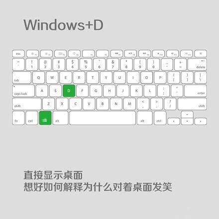 ѧWindowsݼ 