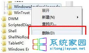 删除WindowsAnytimeUpgrade项