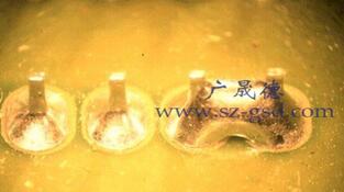 庸ԭʲô_μٲ庸