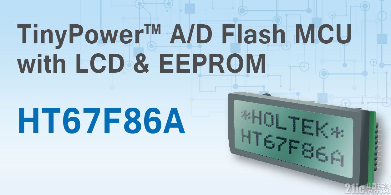 TinyPower AD Flash MCU with LCD & EEPROM HT67F86A.jpg