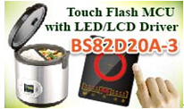 HOLTEKƳBS82D20A-3һFlashصƬ