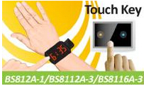 HOLTEKƳBS812A-1BS8112A-3BS8116A-3ԴذҵӦΧIC