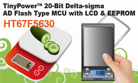 HOLTEKԸ߾ӦƳHT67F5630 24-bit Delta-sigma A/D + LCDFlash MCU