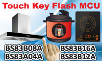 HOLTEKƳBS83xxxAϵһFlashصƬ.jpg