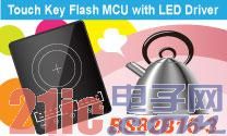 HoltekƳBS82B16-3һFlashصƬ