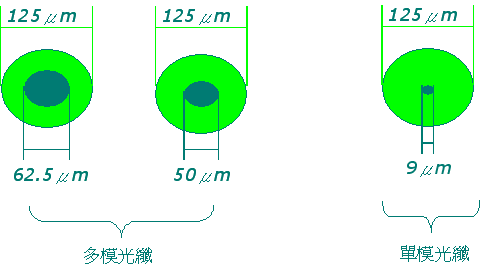 光纤的尺寸