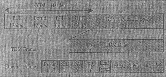 GEM帧结构