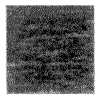 t114-3.gif (2499 bytes)