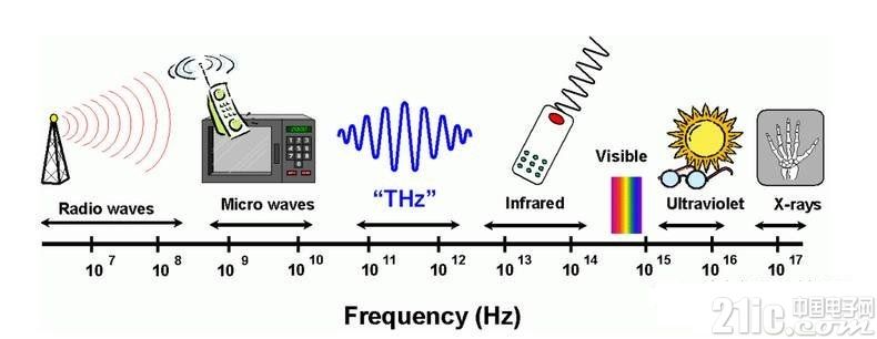 2160275-161130104154405.jpg