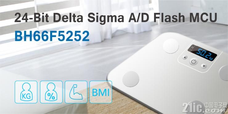 24-Bit Delta Sigma A-D Flash MCU with LCD & EEPROM_BH66F5252_300x150_300dpi.jpg