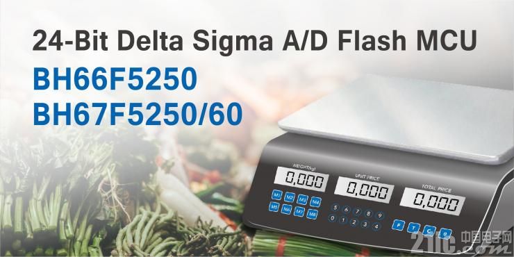 24-Bit Delta Sigma A-D Flash MCU with LCD & EEPROM_300x150_300dpi.jpg
